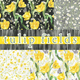 Tulip Fields by Whistler Studios